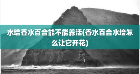 水培香水百合能不能养活(香水百合水培怎么让它开花)