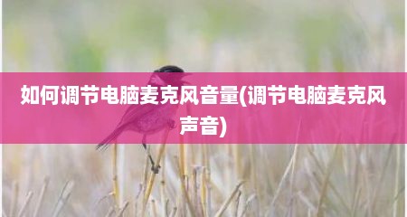 如何调节电脑麦克风音量(调节电脑麦克风声音)