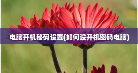 电脑开机秘码设置(如何设开机密码电脑)