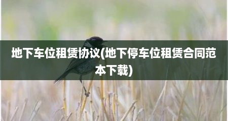 地下车位租赁协议(地下停车位租赁合同范本下载)