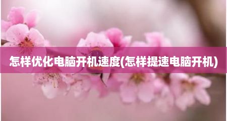 怎样优化电脑开机速度(怎样提速电脑开机)