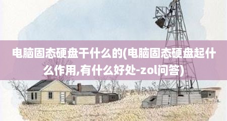 电脑固态硬盘干什么的(电脑固态硬盘起什么作用,有什么好处-zol问答)