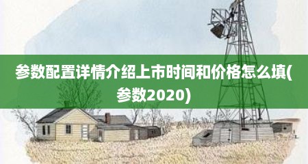 参数配置详情介绍上市时间和价格怎么填(参数2020)