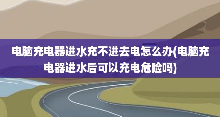 电脑充电器进水充不进去电怎么办(电脑充电器进水后可以充电危险吗)