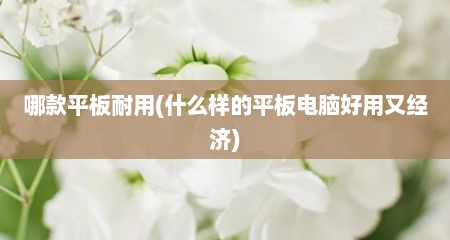 哪款平板耐用(什么样的平板电脑好用又经济)