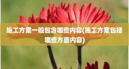 施工方案一般包含哪些内容(施工方案包括哪些方面内容)