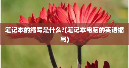 笔记本的缩写是什么?(笔记本电脑的英语缩写)