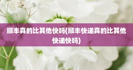 顺丰真的比其他快吗(顺丰快递真的比其他快递快吗)