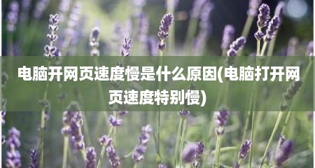 电脑开网页速度慢是什么原因(电脑打开网页速度特别慢)