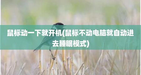 鼠标动一下就开机(鼠标不动电脑就自动进去睡眠模式)