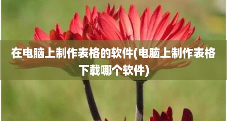 在电脑上制作表格的软件(电脑上制作表格下载哪个软件)