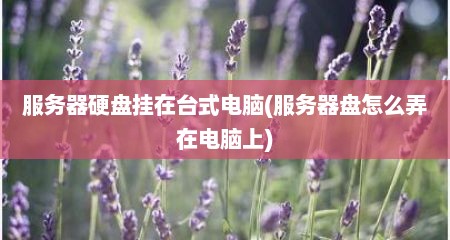 服务器硬盘挂在台式电脑(服务器盘怎么弄在电脑上)