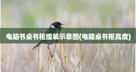 电脑书桌书柜组装示意图(电脑桌书柜高度)