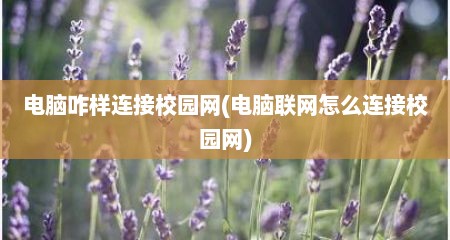 电脑咋样连接校园网(电脑联网怎么连接校园网)