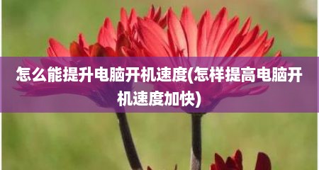 怎么能提升电脑开机速度(怎样提高电脑开机速度加快)