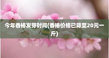 今年香椿发芽时间(香椿价格已降至20元一斤)