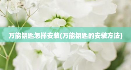 万能钥匙怎样安装(万能钥匙的安装方法)