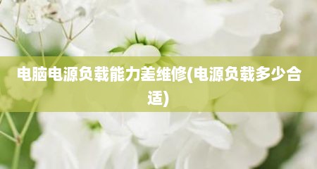 电脑电源负载能力差维修(电源负载多少合适)