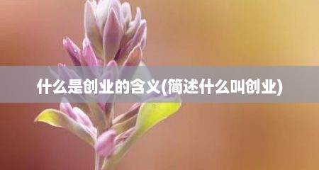 什么是创业的含义(简述什么叫创业)