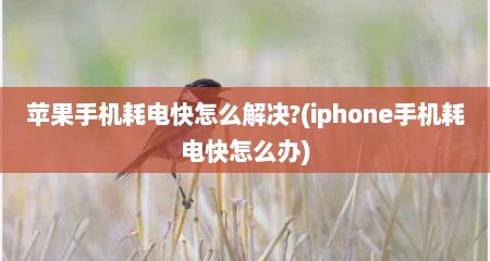 苹果手机耗电快怎么解决?(iphone手机耗电快怎么办)