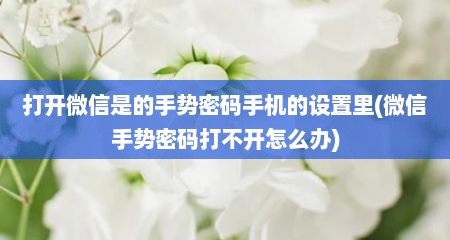 打开微信是的手势密码手机的设置里(微信手势密码打不开怎么办)