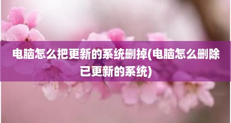 电脑怎么把更新的系统删掉(电脑怎么删除已更新的系统)