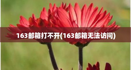 163邮箱打不开(163邮箱无法访问)