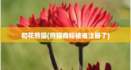 和花熊猫(熊猫商标被谁注册了)