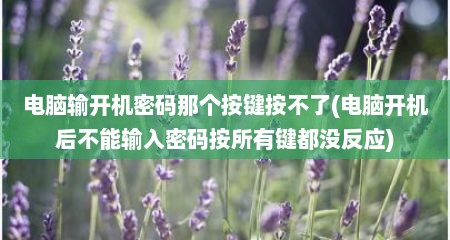 电脑输开机密码那个按键按不了(电脑开机后不能输入密码按所有键都没反应)