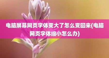 电脑屏幕网页字体变大了怎么变回来(电脑网页字体缩小怎么办)