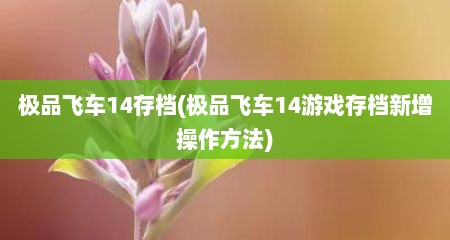 极品飞车14存档(极品飞车14游戏存档新增操作方法)