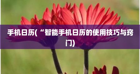 手机日历(“智能手机日历的使用技巧与窍门)