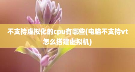 不支持虚拟化的cpu有哪些(电脑不支持vt怎么搭建虚拟机)