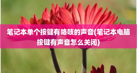 笔记本单个按键有咯吱的声音(笔记本电脑按键有声音怎么关闭)