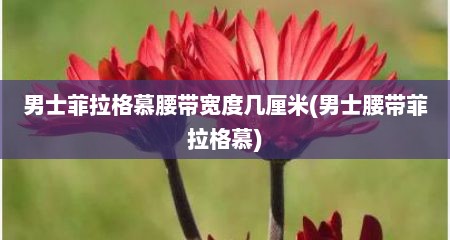 男士菲拉格慕腰带宽度几厘米(男士腰带菲拉格慕)