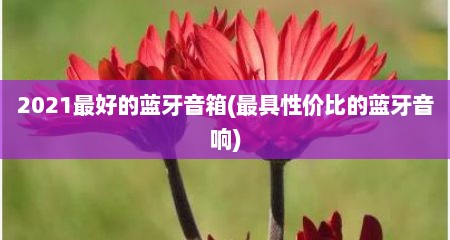 2021最好的蓝牙音箱(最具性价比的蓝牙音响)