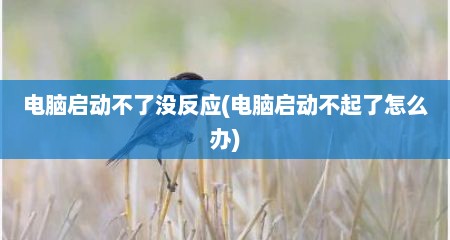 电脑启动不了没反应(电脑启动不起了怎么办)