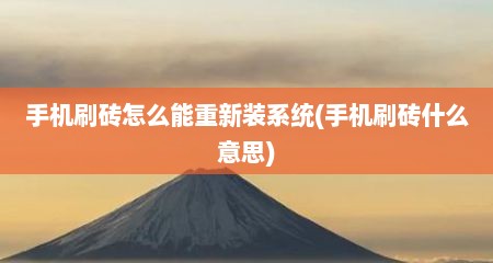 手机刷砖怎么能重新装系统(手机刷砖什么意思)