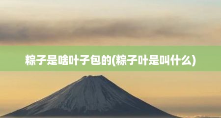 粽子是啥叶子包的(粽子叶是叫什么)