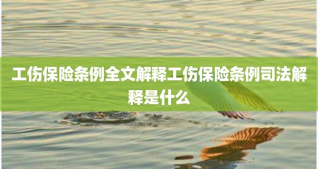 工伤保险条例全文解释工伤保险条例司法解释是什么