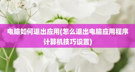 电脑如何退出应用(怎么退出电脑应用程序计算机技巧设置)