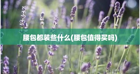 腰包都装些什么(腰包值得买吗)