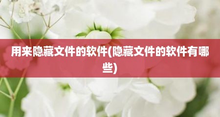 用来隐藏文件的软件(隐藏文件的软件有哪些)