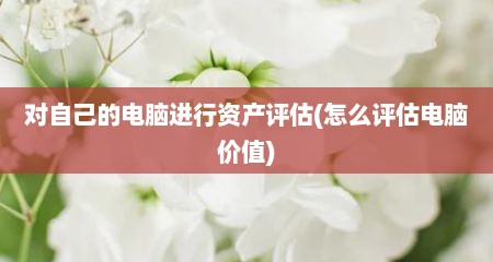 对自己的电脑进行资产评估(怎么评估电脑价值)