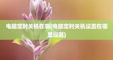 电脑定时关机在哪(电脑定时关机设置在哪里设置)