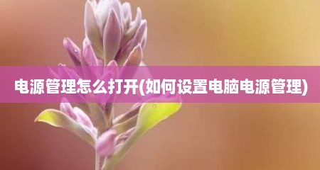 电源管理怎么打开(如何设置电脑电源管理)