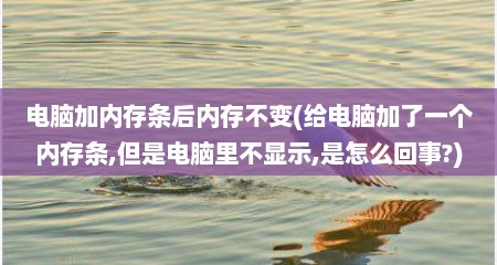 电脑加内存条后内存不变(给电脑加了一个内存条,但是电脑里不显示,是怎么回事?)