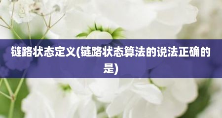 链路状态定义(链路状态算法的说法正确的是)