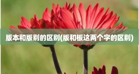 版本和版别的区别(版和板这两个字的区别)