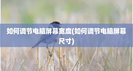 如何调节电脑屏幕宽度(如何调节电脑屏幕尺寸)